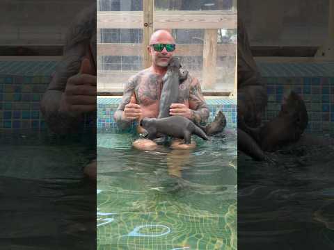 WANT TO PLAY WITH OUR OTTERS AnimalEDventures.com Presents Behind The Scenes VIP Tour Book NOW