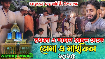 শাহান জিয়া বাবার রওজা প্রাঙ্গন থেকে মাইজভান্ডারী জিকিরে ছেমা মাহফিল || সাজ্জাদ হোসাইন আরমান ||