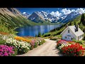 Driving in swiss   10  best places  to visit in switzerland  4k   7