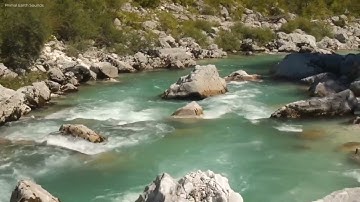 سورة النبأ40آية : القارئ/ محمد جواد سوالمة