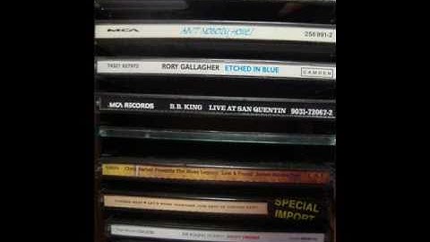 Johnny Copeland & SRV / Dont Stop By The Creek Son