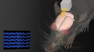 Soft elastic brain-machine interfaces