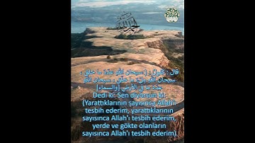 011: Allah'ım, Amin اللهم أمين       #nuralsalam #miqat01#mehmet #المصحف  #القارئ #اكسبلور