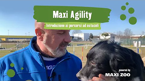 Quanti ostacoli si devono superare nei 110 metri?