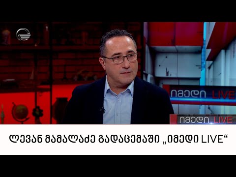 სტრატეგიული დაგეგმარების ცენტრის ხელმძღვანელი ლევან მამალაძე გადაცემაში „იმედი LIVE“