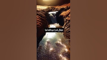 أجمل قصة من السنة👌 #أحاديث #اكسبلور #المراه #آيات #دويتو #النظافه #إسلاميات #duet #المراره #ذكر