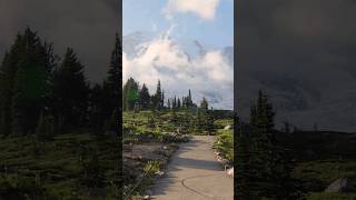 Paradise Hike at Mt Rainier