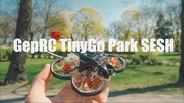 GepRC TinyGo 4K -Exploring Tree branches