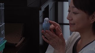 映画「父の愛人」予告編