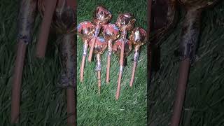 I love you mummy candy Asmr #asmr #candy #shorts #ytvideos
