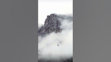 واتس اب قران كريم القارئ حسن صالح (سوره الزمر)