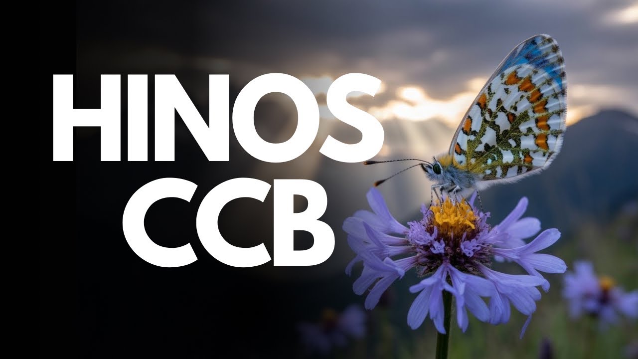 HINOS CCB INESQUECÍVEIS – LOUVORES QUE TRAZEM PAZ À ALMA 🤍✨