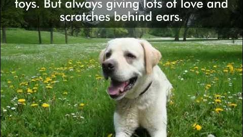 Kizoa Video Editor - Movie Maker: Where I Am From  by Katelynn M