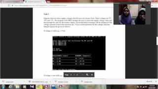 Assignment Programming (Task 2) Wealth