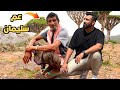استضافني داخل بيته في غابة دم الأخوين في سقطرى عم سليمان 