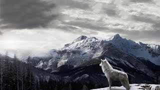 მგელი ტოტემი || Wolf Totem || ქართულად