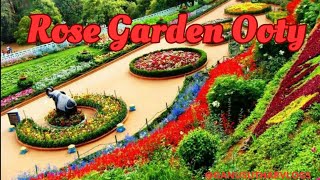 Rose Garden Ooty | Government Rose Garden |must visit place in Ooty | #rosegarden #vlog #trending