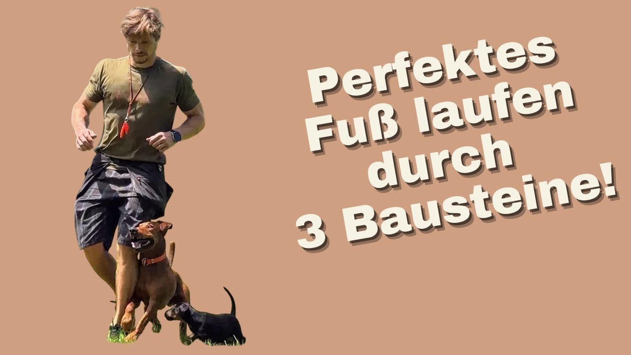 Fuß laufen leicht gemacht: In nur 5 Minuten am Tag!