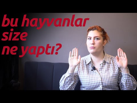 Hayvan Sevgisi Hakkında Dile Getirilmeyenler