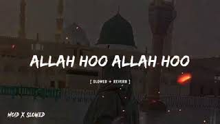 Allah Hoo Allah Hoo Ishq Bulay No Nachaway Yar Tay Nachna Painda Ha Samnay Hoyay Yar Tay Nachna