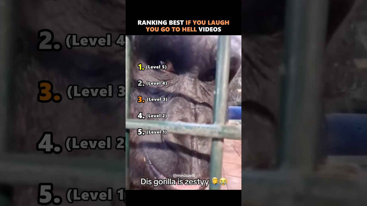 Ranking The Best If You Laugh You Go To Hell Videos 