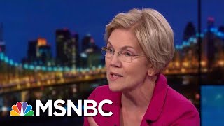 Elizabeth Warren Targets 'Corruption Right At The Heart Of Our Government' | Rachel Maddow | MSNBC