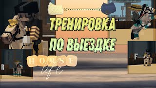 картинка: тренировка по выездке 💛-----🩵