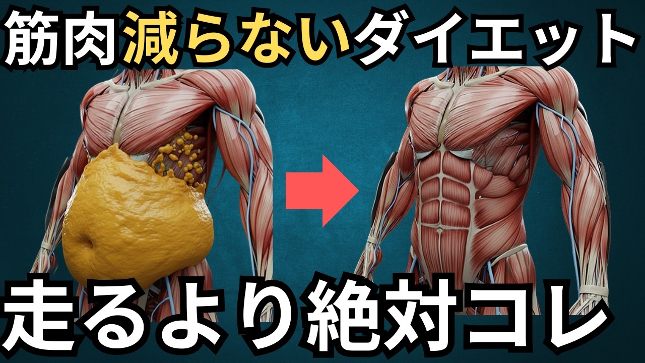 【決定版】脂肪だけを落とす最強ダイエット｜内臓脂肪の落とし方をメタボ改善のプロが解説｜体脂肪を減らす方法で効率よく肥満症を改善｜痩せる運動｜お腹痩せ
