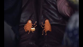 Dave's Pest Control: Cockroach Control and Bug Exterminators