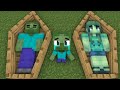 Monster School: Minecraft animation