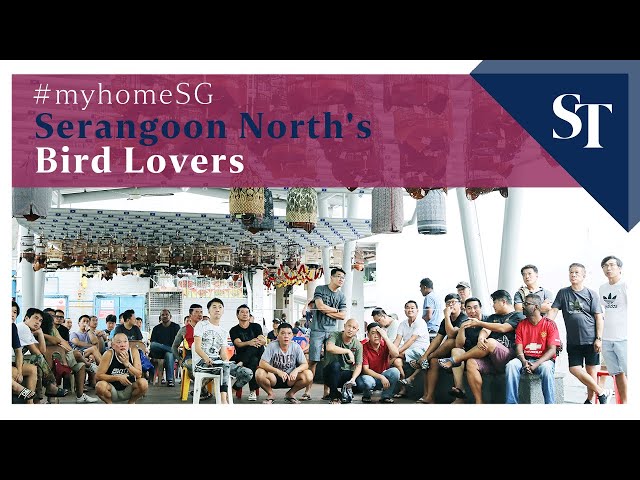 Serangoon North's Bird Lovers | myhomeSG class=