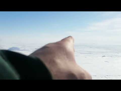 Берингов Пролив, диомид, ратманова, Аляска, 2023