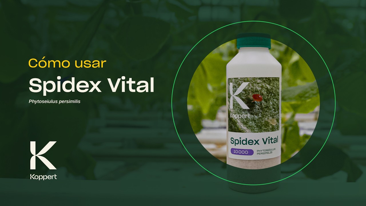 Cómo usar - Spidex Vital