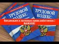 Вакцинация и трудовые права работников ! Важное!