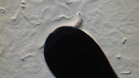 picking worms up close