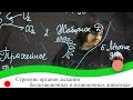 Строение органов дыхания беспозвоночных и позвоночных животных. 7 класс.