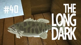 HERE FISHY!  THE LONG DARK (EP.40)