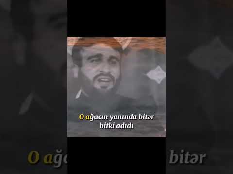 esq nedir???