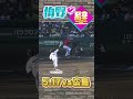 【鉄壁】絶対後ろに逸らさない梅野の壁… #阪神タイガース #hanshintigers #虎バンチャンネル #プロ野球 #shorts #shortvideo #梅野隆太郎