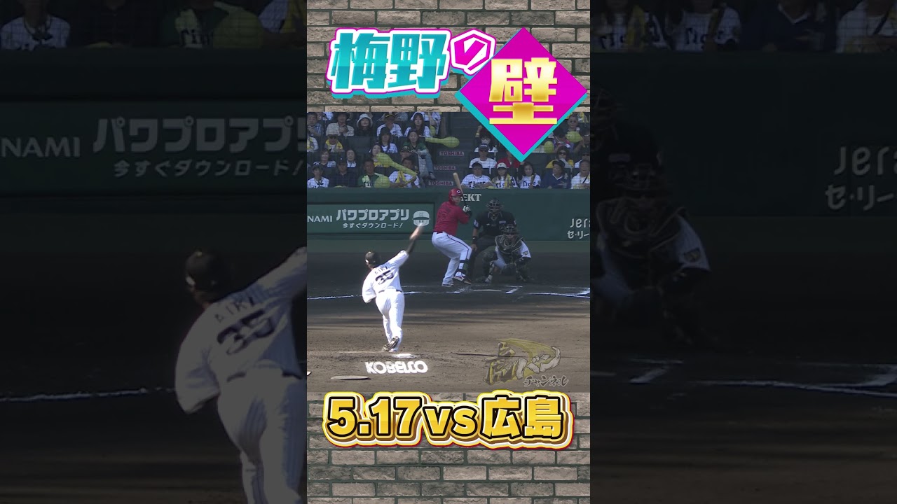 【鉄壁】絶対後ろに逸らさない梅野の壁… #阪神タイガース #hanshintigers #虎バンチャンネル #プロ野球 #shorts #shortvideo #梅野隆太郎