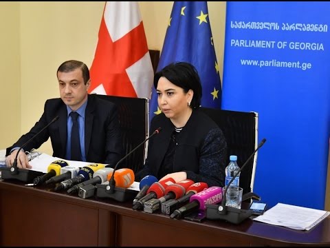 იურიდიულ საკითხთა კომიტეტის თავმჯდომარის, ეკა ბესელიას ბრიფინგი