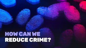 Crime Isn’t Random. Here Are the Rules.