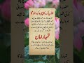 Beautiful lines #quotes #islamicquotes #bestquotes #islamicreminders #goldenwords #shortvideos