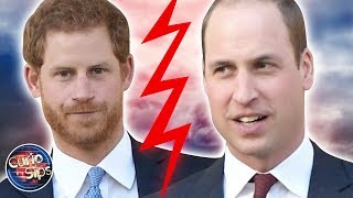 Prince Harry HATES Prince William?!