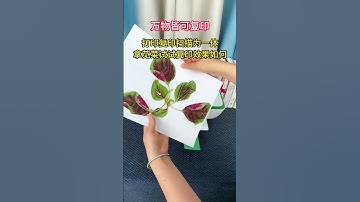 Everything can be copied, print, copy and scan three-in-one, try the effect with amaranth Printer.