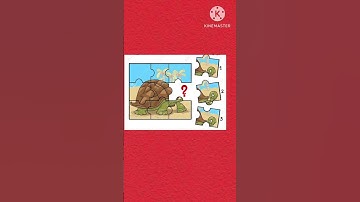 Find the missing piece of the picture ?#shorts #missing #puzzle #smart #funny #subscribe #กดติดตาม