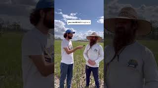 Naturalist Interview with Albert Diaz