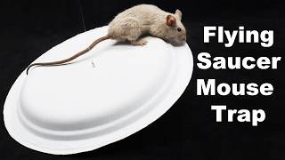 The Flying Saucer Mouse Trap. A Hilarious DIY Paper Plate Trap That Works. Mousetrap Monday