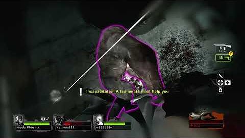 I join a server in Left 4 Dead 2 and this happens