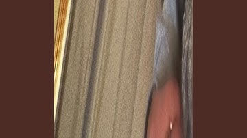 Anarchy 2! p. grayskies